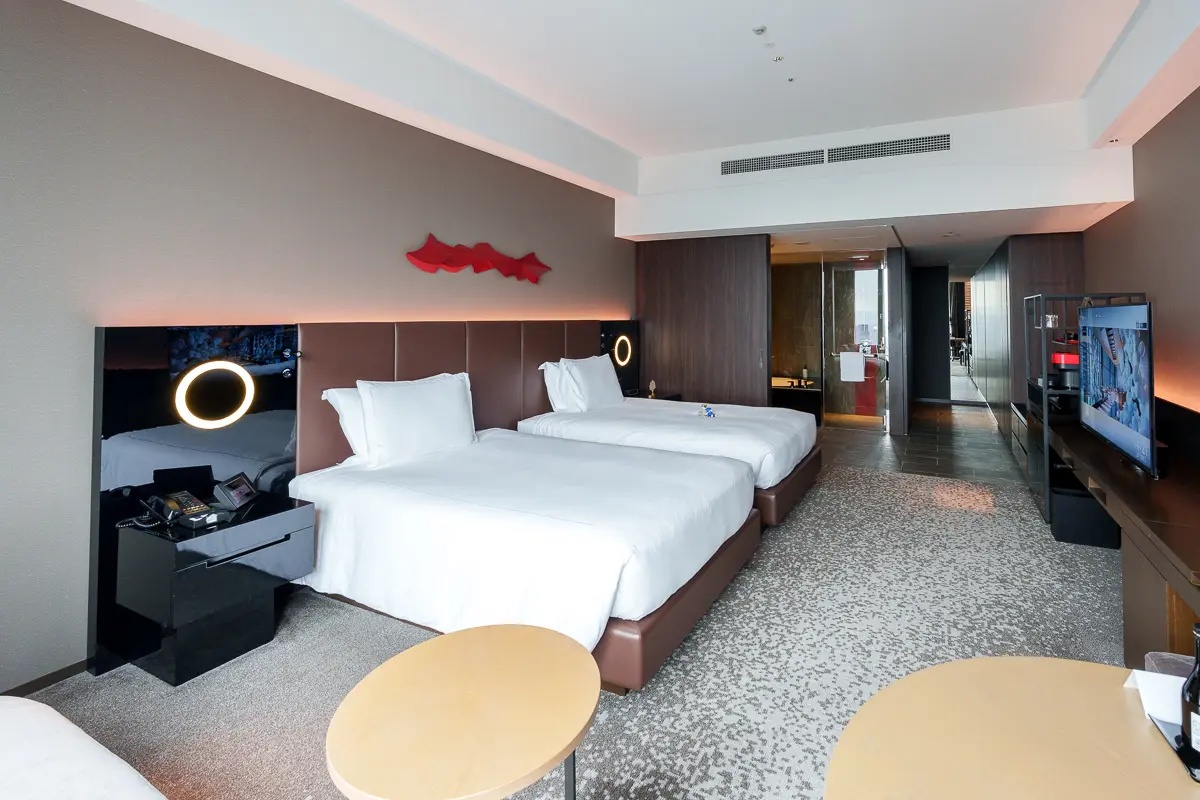 窓側から見た客室