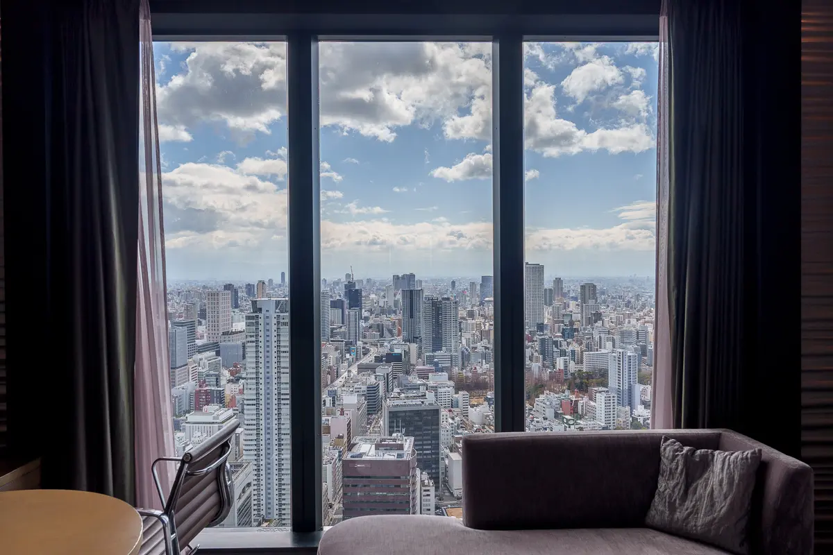 客室から見た景色